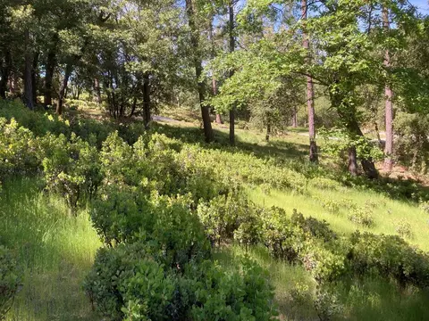 16688 Sonshine Ln, Sutter Creek, CA 95685 photo 59