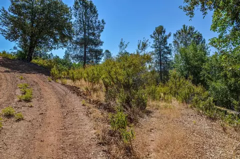 16688 Sonshine Ln, Sutter Creek, CA 95685 photo 30