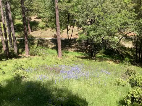 16688 Sonshine Ln, Sutter Creek, CA 95685 photo 58