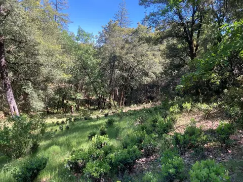 16688 Sonshine Ln, Sutter Creek, CA 95685 photo 56
