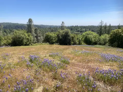 16688 Sonshine Ln, Sutter Creek, CA 95685 photo 7