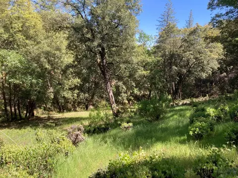 16688 Sonshine Ln, Sutter Creek, CA 95685 photo 57