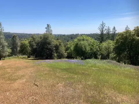 16688 Sonshine Ln, Sutter Creek, CA 95685 photo 8