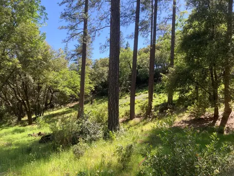 16688 Sonshine Ln, Sutter Creek, CA 95685 photo 55