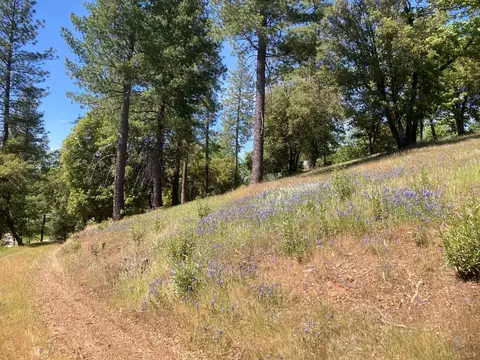 16688 Sonshine Ln, Sutter Creek, CA 95685 photo 23