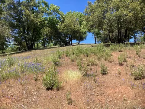 16688 Sonshine Ln, Sutter Creek, CA 95685 photo 25