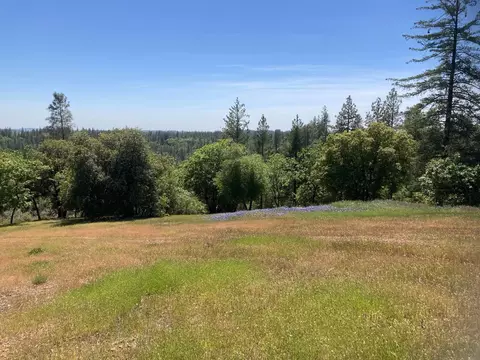 16688 Sonshine Ln, Sutter Creek, CA 95685 photo 9