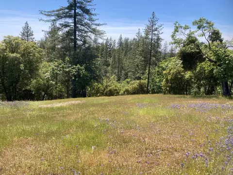 16688 Sonshine Ln, Sutter Creek, CA 95685 photo 47