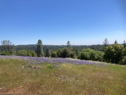 16688 Sonshine Ln, Sutter Creek, CA 95685 photo 1