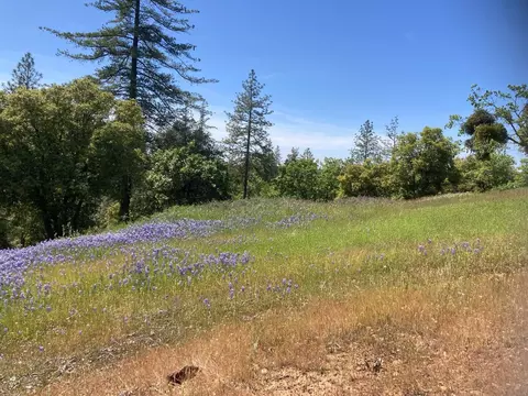 16688 Sonshine Ln, Sutter Creek, CA 95685 photo 39