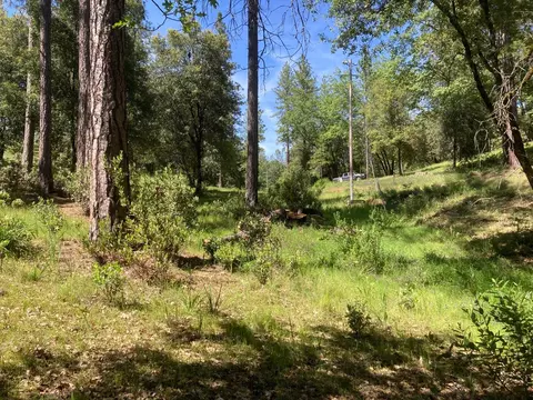 16688 Sonshine Ln, Sutter Creek, CA 95685 photo 61