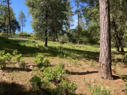 16688 Sonshine Ln, Sutter Creek, CA 95685 photo 54