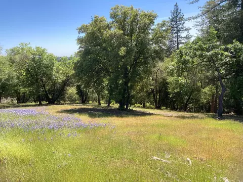 16688 Sonshine Ln, Sutter Creek, CA 95685 photo 51
