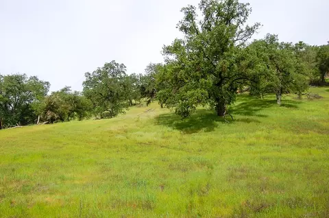 71 Hawver Rd, San Andreas, CA 95249 photo 79