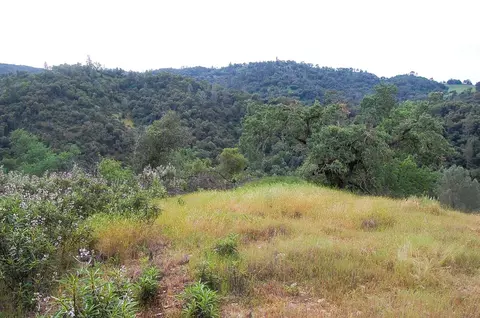 71 Hawver Rd, San Andreas, CA 95249 photo 56