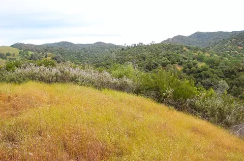71 Hawver Rd, San Andreas, CA 95249 photo 61