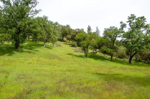 71 Hawver Rd, San Andreas, CA 95249 photo 80