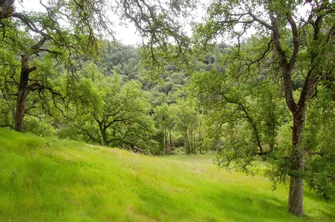 71 Hawver Rd, San Andreas, CA 95249 photo 70