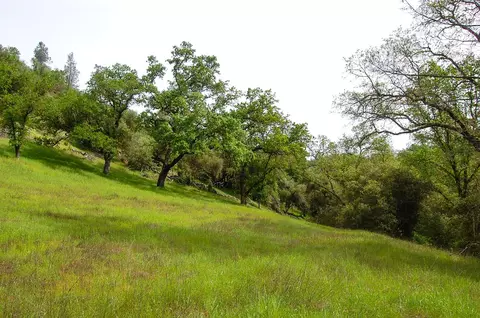 71 Hawver Rd, San Andreas, CA 95249 photo 81