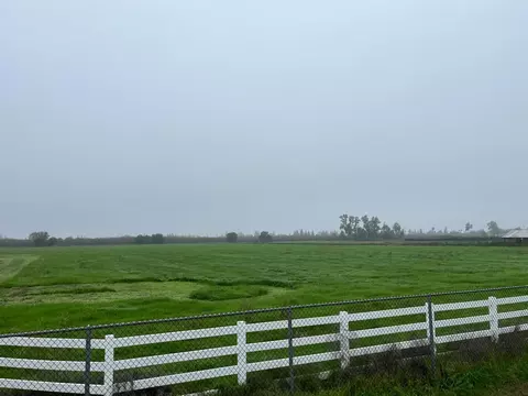 26304 E Mahon Ave, Escalon, CA 95366 photo 10
