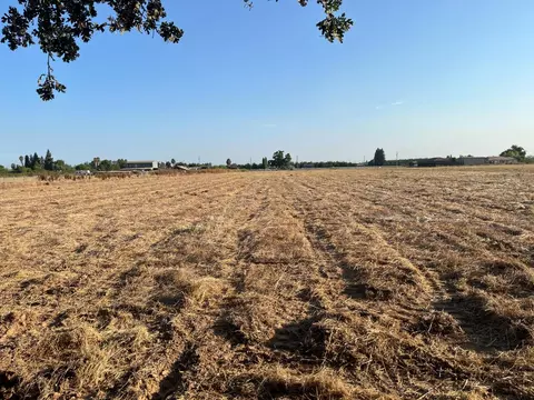 26304 E Mahon Ave, Escalon, CA 95366 photo 44