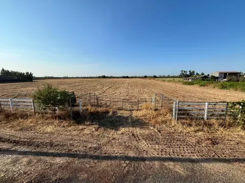 26304 E Mahon Ave, Escalon, CA 95366 photo 3