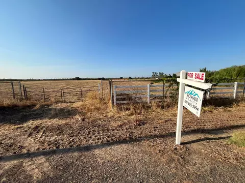26304 E Mahon Ave, Escalon, CA 95366 photo 33