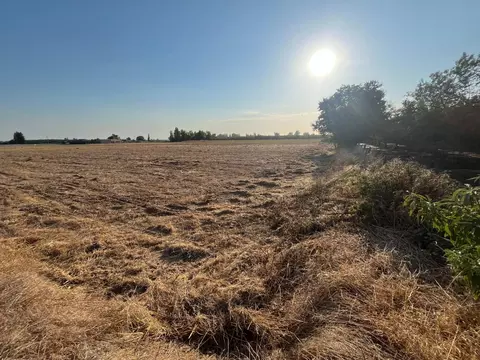 26304 E Mahon Ave, Escalon, CA 95366 photo 46