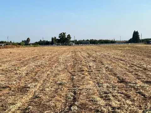 26304 E Mahon Ave, Escalon, CA 95366 photo 36