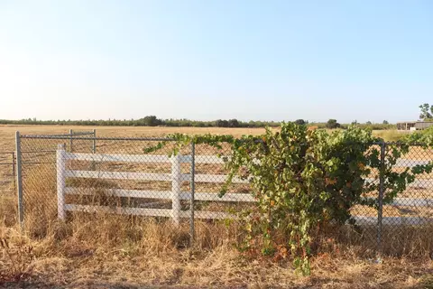 26304 E Mahon Ave, Escalon, CA 95366 photo 16