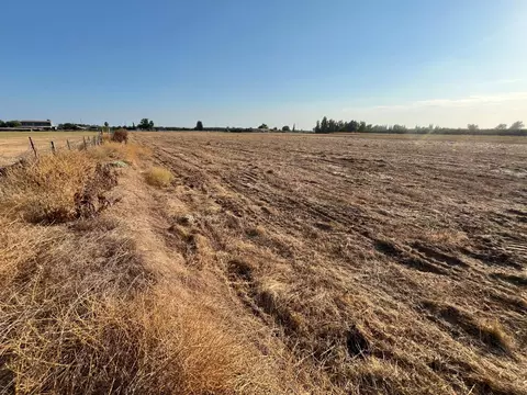 26304 E Mahon Ave, Escalon, CA 95366 photo 34