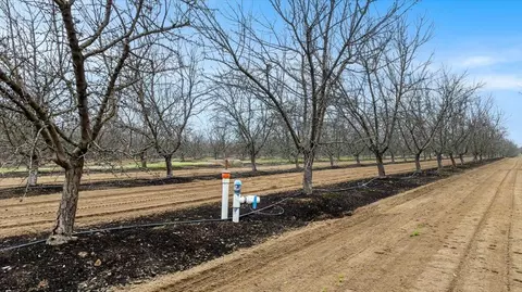 20339 Sexton Rd, Escalon, CA 95320 photo 20