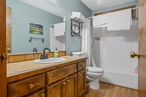 Bath - 729 Dawyn Dr, Arnold, CA 95223 photo 1 of 3