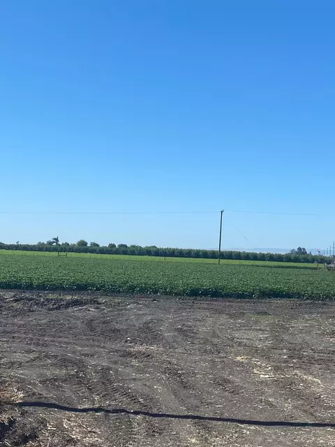 0 Elgien Ave, Dos Palos, CA 93620 photo 2