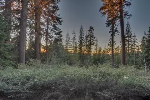 0 Prather Meadow Rd, Twain Harte, CA 95223