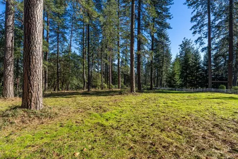 19654 Eagle Ridge Rd, Foresthill, CA 95631 photo 13