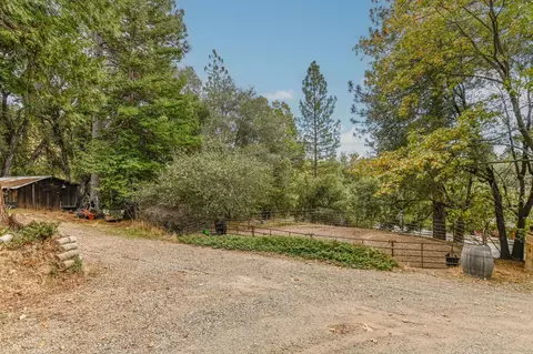 Other - 18371 S Sugar Pine Dr, Pine Grove, CA 95665 photo 4 of 13