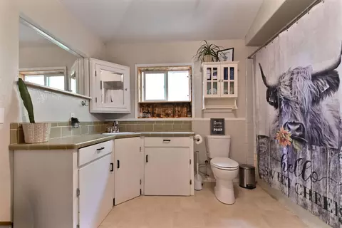 Bath - 18371 S Sugar Pine Dr, Pine Grove, CA 95665 photo 2 of 3