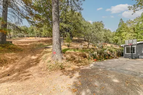 Exterior - 18371 S Sugar Pine Dr, Pine Grove, CA 95665 photo 25 of 41