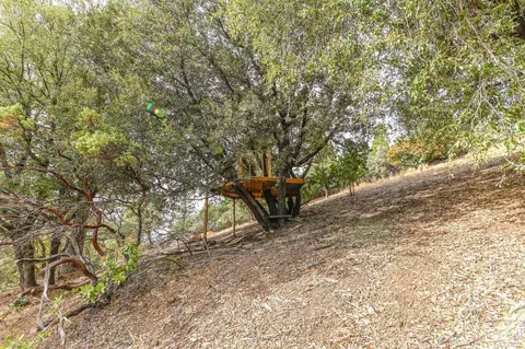 Exterior - 18371 S Sugar Pine Dr, Pine Grove, CA 95665 photo 30 of 41