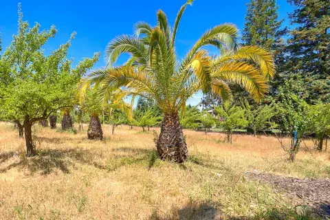 Exterior - 5990 Barton Rd, Loomis, CA 95650 photo 15 of 21