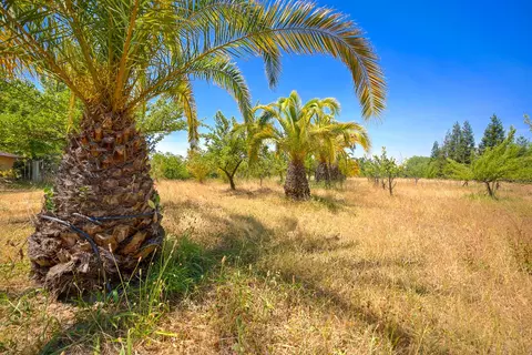 Exterior - 5990 Barton Rd, Loomis, CA 95650 photo 16 of 21