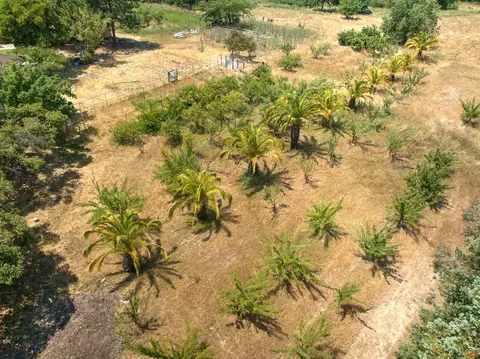 Exterior - 5990 Barton Rd, Loomis, CA 95650 photo 21 of 21