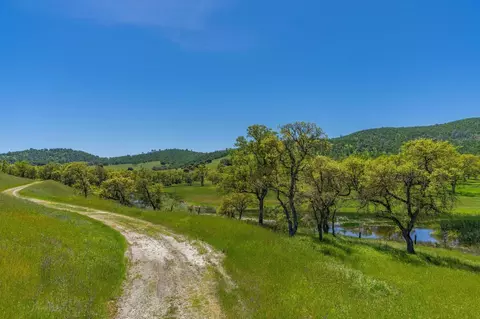 357 Quail Creek Dr, Copperopolis, CA 95228 photo 19