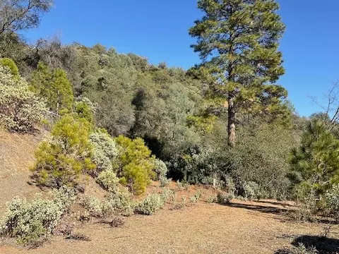 1445 Gallows, Murphys, CA 95223 photo 3