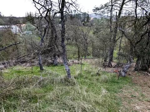4569 Tomahawk Trl, Copperopolis, CA 95228 photo 1