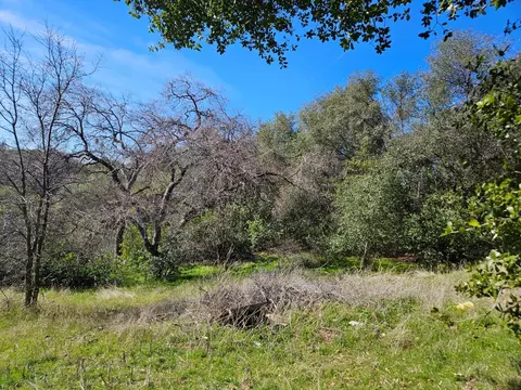 6167 Possum Trl, Murphys, CA 95247 photo 11