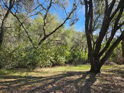 6167 Possum Trl, Murphys, CA 95247 photo 5