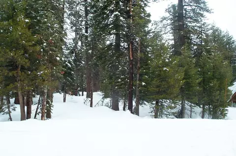 0 191 Monty Wolf Rd, Bear Valley, CA 95223 photo 1