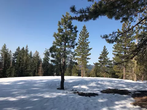 54 Liberty Rd, Dorrington, CA 95223